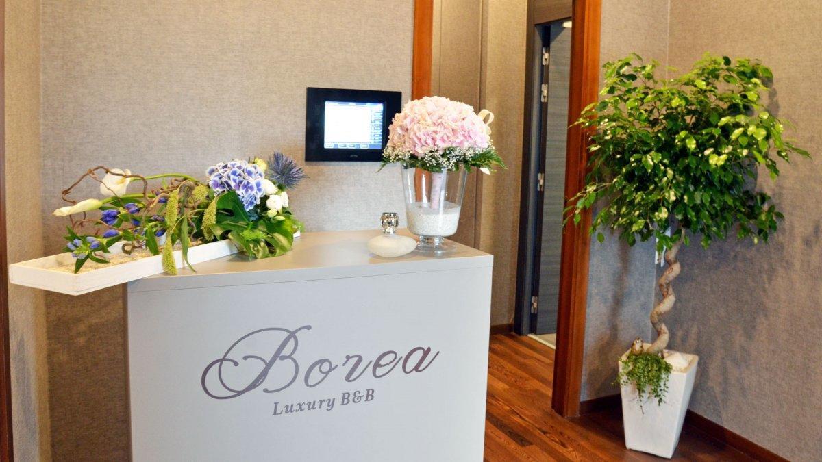 Bed & Breakfast Borea Luxury